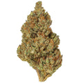Key Lime CBG Hemp Flower - 2026 Harvest