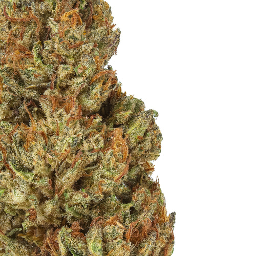 Key Lime CBG Hemp Flower - 2026 Harvest