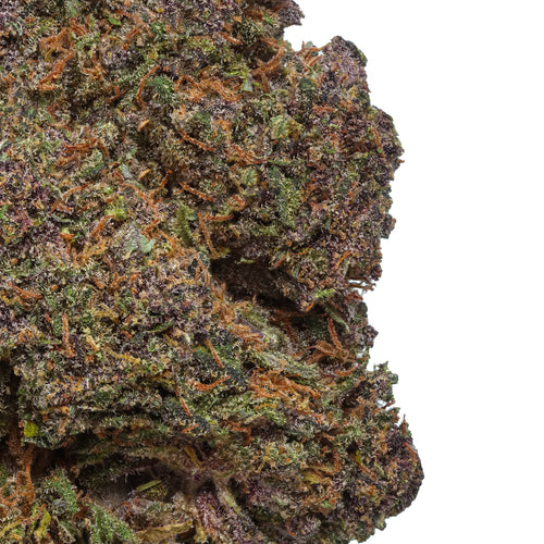 Purple Snowman Hemp Flower - 2026 Harvest