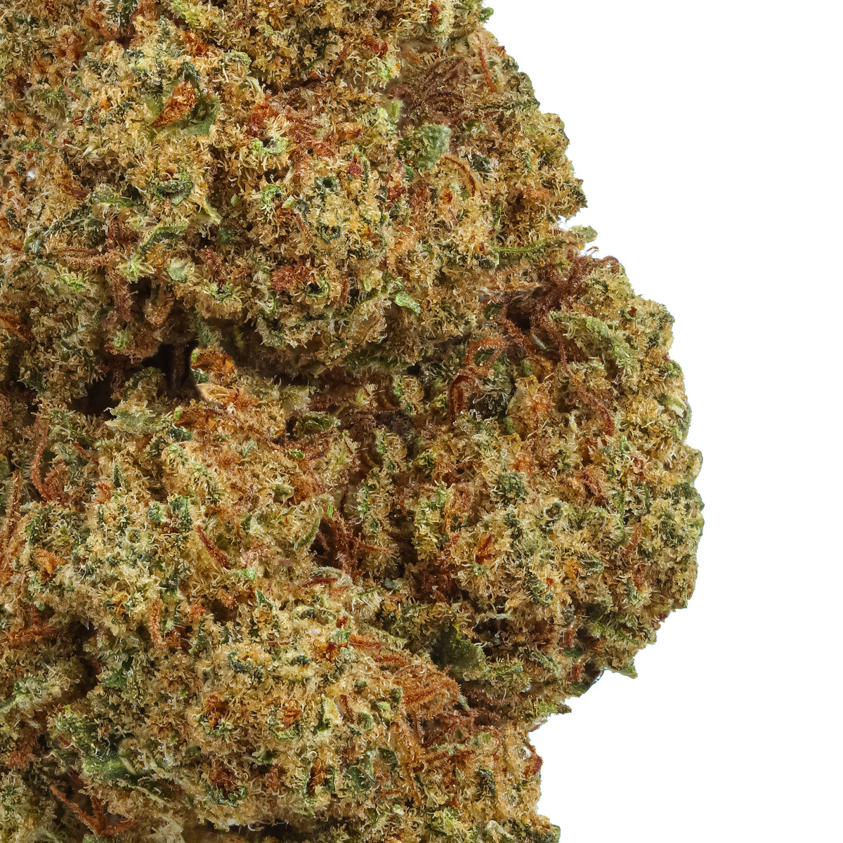 Sour Brûlée CBD Hemp Flower