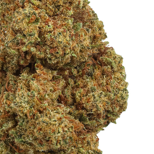 Sour Brûlée CBD Hemp Flower